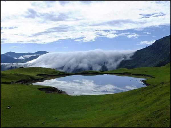 nelfari-1-1561801671