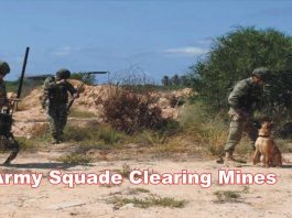 army squad clearing mines