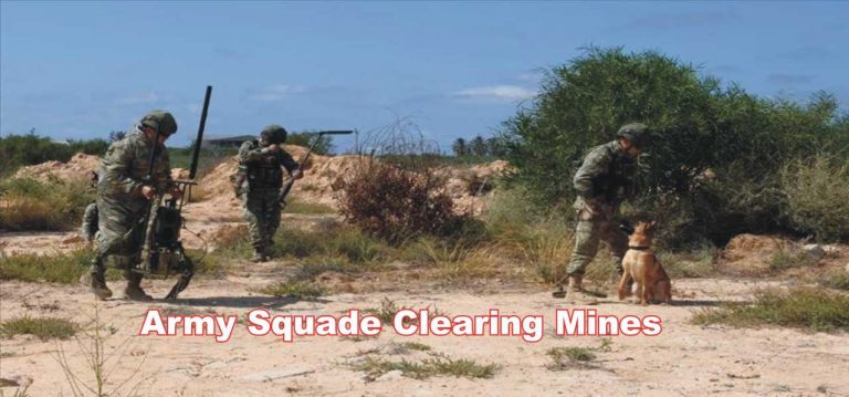 army squad clearing mines